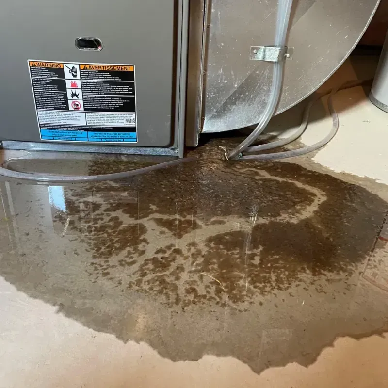 Appliance Leak Cleanup in Ellerbe, NC